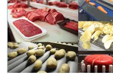 Food Processing